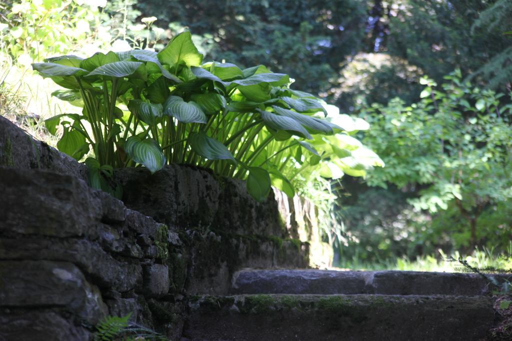 Villa Emilia Craveggia 外观 照片